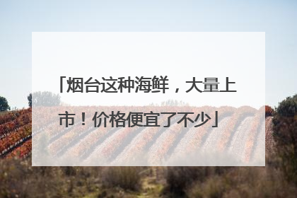 烟台这种海鲜，大量上市！价格便宜了不少