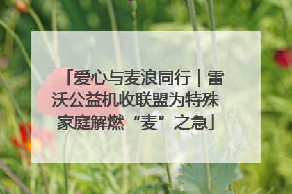 爱心与麦浪同行｜雷沃公益机收联盟为特殊家庭解燃“麦”之急