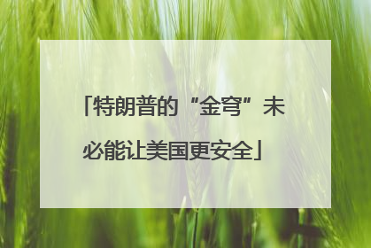 特朗普的“金穹”未必能让美国更安全