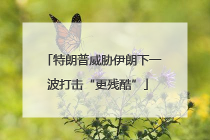特朗普威胁伊朗下一波打击“更残酷”