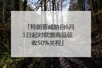 特朗普威胁自6月1日起对欧盟商品征收50%关税