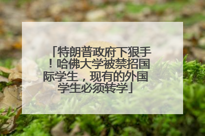 特朗普政府下狠手！哈佛大学被禁招国际学生，现有的外国学生必须转学