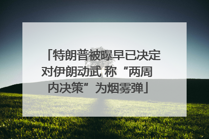 特朗普被曝早已决定对伊朗动武 称“两周内决策”为烟雾弹