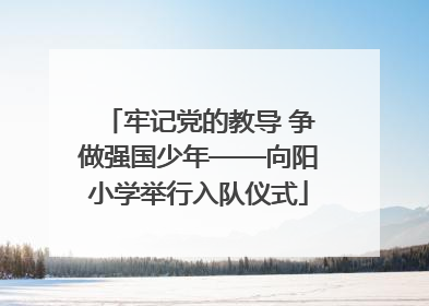 牢记党的教导 争做强国少年——向阳小学举行入队仪式