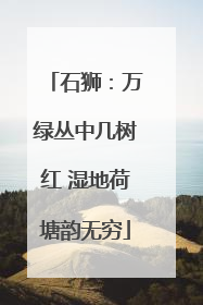 石狮：万绿丛中几树红 湿地荷塘韵无穷