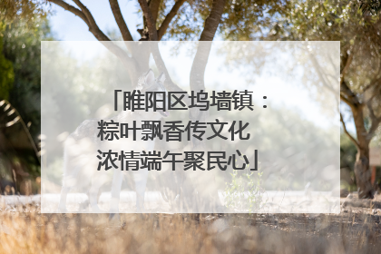 睢阳区坞墙镇：粽叶飘香传文化 浓情端午聚民心