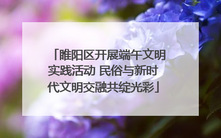 睢阳区开展端午文明实践活动 民俗与新时代文明交融共绽光彩