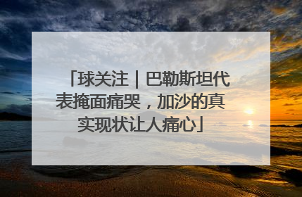 球关注｜巴勒斯坦代表掩面痛哭，加沙的真实现状让人痛心