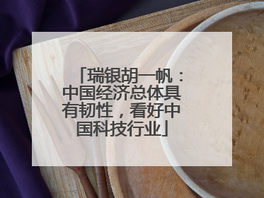 瑞银胡一帆：中国经济总体具有韧性，看好中国科技行业