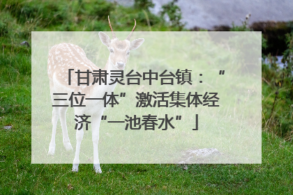甘肃灵台中台镇：“三位一体”激活集体经济“一池春水”