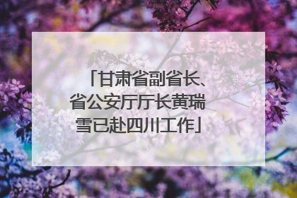 甘肃省副省长、省公安厅厅长黄瑞雪已赴四川工作