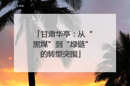 甘肃华亭：从“黑煤”到“绿链”的转型突围