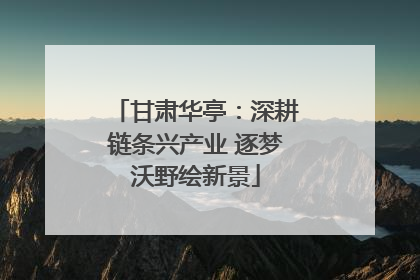 甘肃华亭：深耕链条兴产业 逐梦沃野绘新景