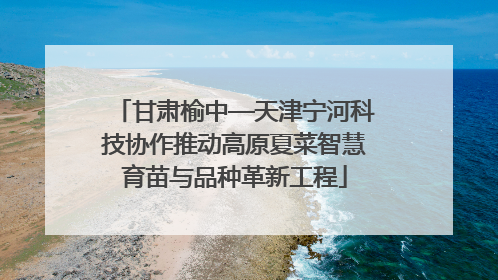 甘肃榆中—天津宁河科技协作推动高原夏菜智慧育苗与品种革新工程