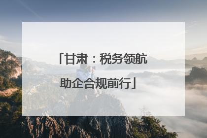 甘肃：税务领航 助企合规前行