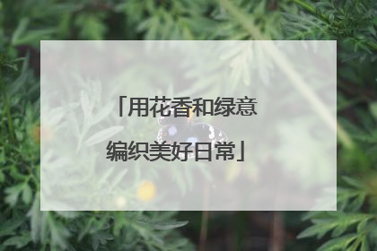 用花香和绿意编织美好日常