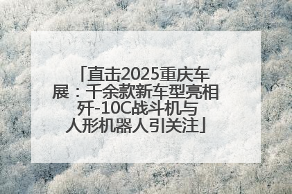 直击2025重庆车展：千余款新车型亮相 歼-10C战斗机与人形机器人引关注