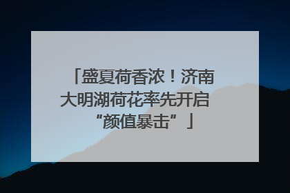 盛夏荷香浓！济南大明湖荷花率先开启“颜值暴击”