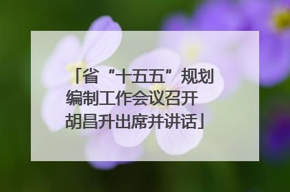 省“十五五”规划编制工作会议召开 胡昌升出席并讲话