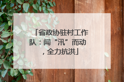 省政协驻村工作队：闻“汛”而动，全力抗洪