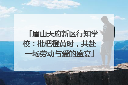 眉山天府新区行知学校：枇杷橙黄时，共赴一场劳动与爱的盛宴