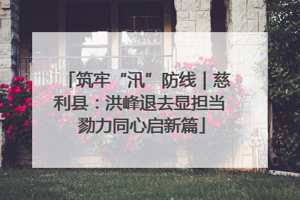 筑牢“汛”防线｜慈利县：洪峰退去显担当 勠力同心启新篇
