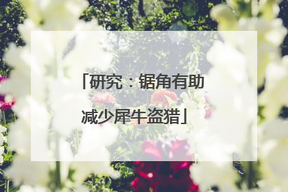 研究：锯角有助减少犀牛盗猎