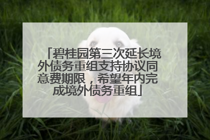碧桂园第三次延长境外债务重组支持协议同意费期限，希望年内完成境外债务重组
