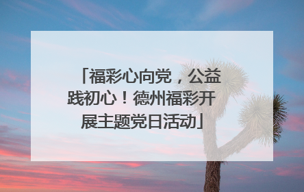 福彩心向党，公益践初心！德州福彩开展主题党日活动