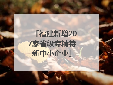 福建新增207家省级专精特新中小企业