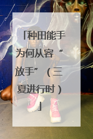 种田能手为何从容“放手”（三夏进行时）