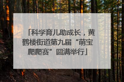 科学育儿助成长，黄鹤楼街道第九届“萌宝爬爬赛”圆满举行