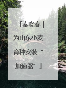秦晓春｜为山东小麦育种安装“加速器”