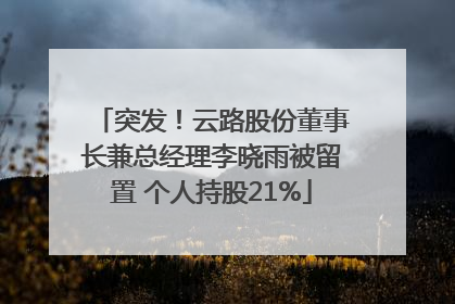 突发！云路股份董事长兼总经理李晓雨被留置 个人持股21%
