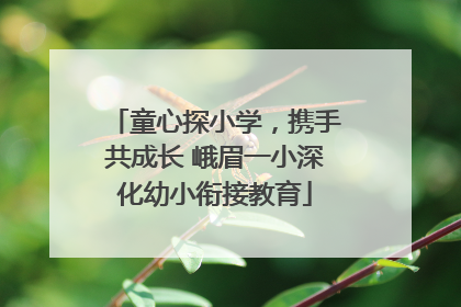 童心探小学，携手共成长 峨眉一小深化幼小衔接教育
