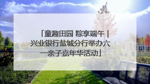 童趣田园 粽享端午｜兴业银行盐城分行举办六一亲子嘉年华活动