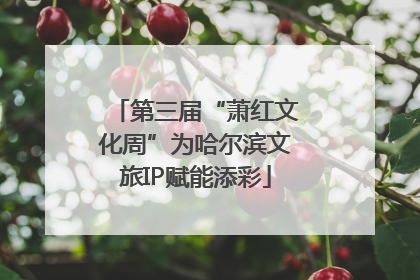 第三届“萧红文化周”为哈尔滨文旅IP赋能添彩