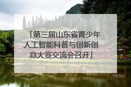 第三届山东省青少年人工智能科普与创新创意大赛交流会召开