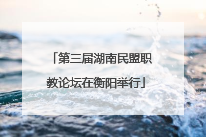 第三届湖南民盟职教论坛在衡阳举行