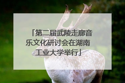 第二届武陵走廊音乐文化研讨会在湖南工业大学举行