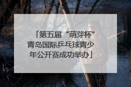 第五届“萌芽杯”青岛国际乒乓球青少年公开赛成功举办