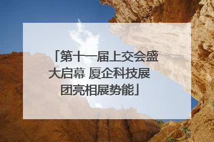 第十一届上交会盛大启幕 厦企科技展团亮相展势能