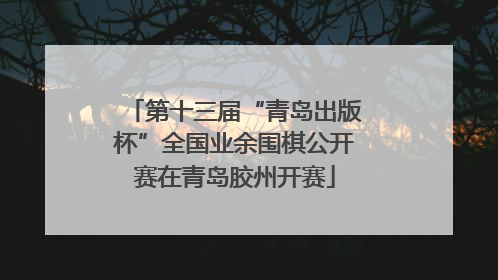 第十三届“青岛出版杯”全国业余围棋公开赛在青岛胶州开赛