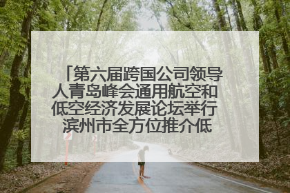 第六届跨国公司领导人青岛峰会通用航空和低空经济发展论坛举行 滨州市全方位推介低空经济发展优势