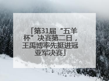 第31届“五羊杯”决赛第二日，王禹博率先挺进冠亚军决赛