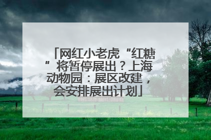 网红小老虎“红糖”将暂停展出？上海动物园：展区改建，会安排展出计划