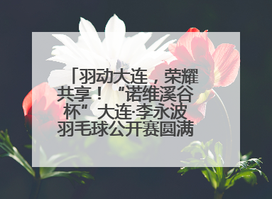 羽动大连，荣耀共享！“诺维溪谷杯”大连·李永波羽毛球公开赛圆满落幕！