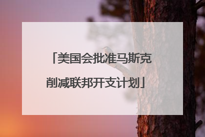 美国会批准马斯克削减联邦开支计划