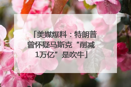 美媒爆料：特朗普曾怀疑马斯克“削减1万亿”是吹牛