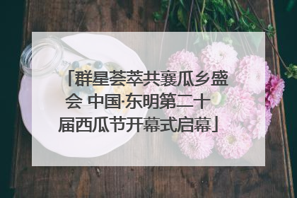 群星荟萃共襄瓜乡盛会 中国·东明第二十届西瓜节开幕式启幕
